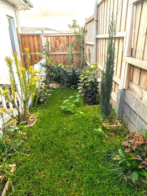 The fenced garden run at Marshian Pet Home